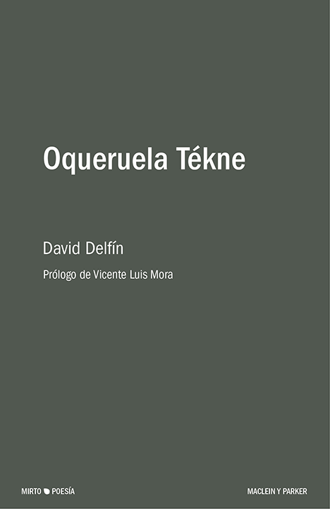 David Delfín: Oqueruela Tékne (Paperback, Español language, Maclein y Parker)